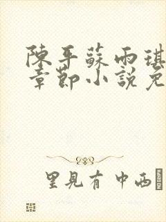 陈平苏雨琪最新章节小说免费阅读