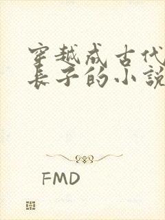 穿越成古代农家长子的小说