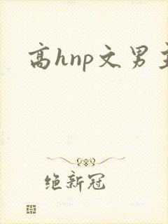 高hnp文男主