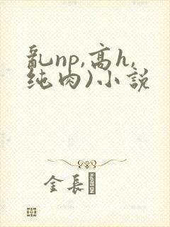 乱np,高h,纯肉)小说封面