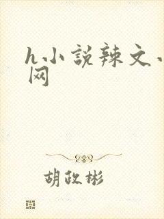 h小说辣文小说网