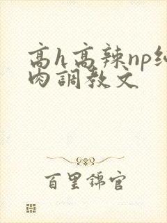 高h高辣np纯肉调教文