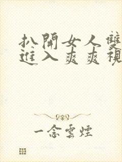 扒开女人双腿猛进入爽爽视频