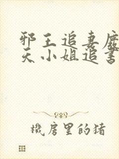 邪王追妻废材逆天小姐追书