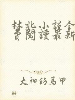 林北小说全文免费阅读最新章节