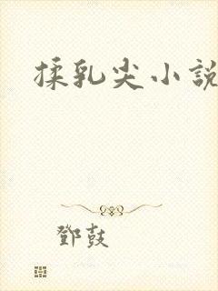 揉乳尖小说
