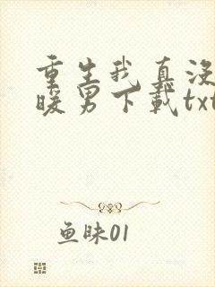 重生我真没想当暖男下载txt