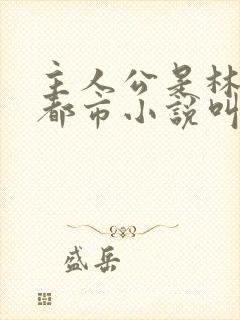 主人公是林风的都市小说叫什么