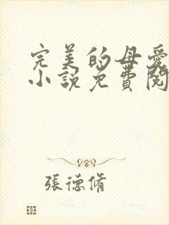 完美的母爱妈妈小说免费阅读