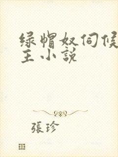 绿帽奴伺候夫妻主小说封面