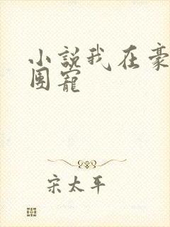 小说我在豪门当团宠封面