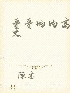 爱爱肉肉高干辣文