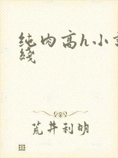 纯肉高h小说在线