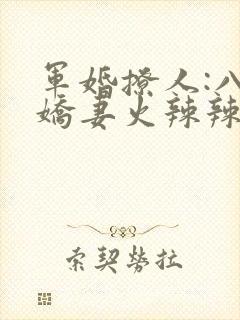 军婚撩人:八零娇妻火辣辣小说阅读全文封面