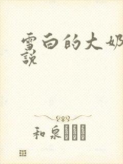 雪白的大奶子小说封面
