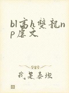bl高h双龙np虐文