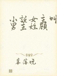 小说女主叫苏曼男主姓顾封面
