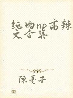 纯肉np高辣h文合集