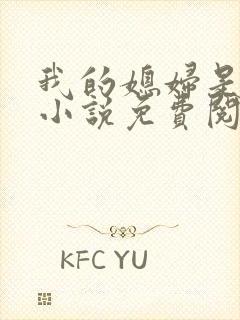 我的媳妇是苏玥小说免费阅读