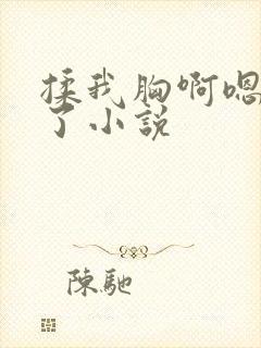 揉我胸啊嗯出奶了小说