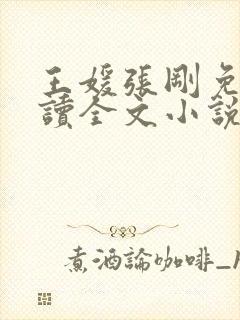 王媛张刚免费阅读全文小说封面