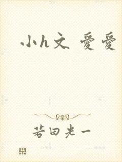 小h文 爱爱