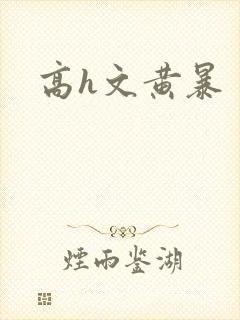 高h文黄暴