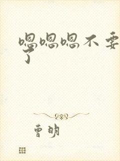 嗯嗯嗯不要再插了封面