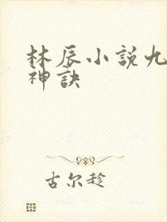 林辰小说九天斩神诀