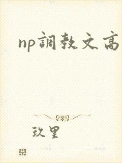 np调教文高h