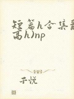 短篇h合集乱(高h)np