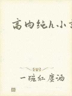 高肉纯h小说封面