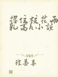 握住校花两团雪乳高h小说