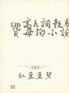 sm高h调教骚货母狗小说
