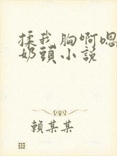 揉我胸啊嗯摸湿奶头小说