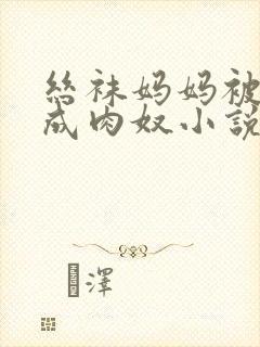 丝袜妈妈被调教成肉奴小说免费阅读