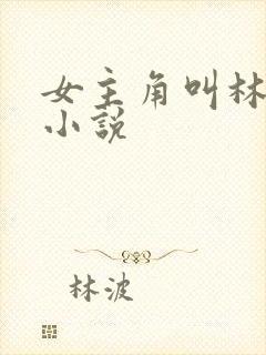 女主角叫林末的小说