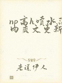np高h喷水荡肉爽文更新时间封面