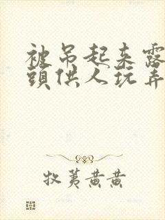 被吊起来露出奶头供人玩弄封面