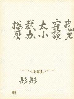 总裁太宠我了怎么办小说免费阅读