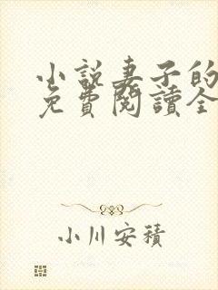 小说妻子的秘密免费阅读全文封面