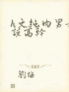 h文纯肉男女小说高干