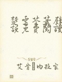 楚云苓萧壁城小说免费阅读无弹窗