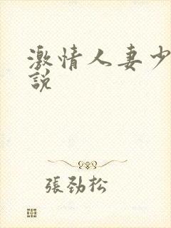 激情人妻少妇小说封面