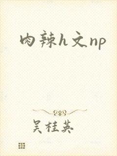 肉辣h文np