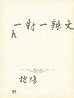 一对一辣文小说h