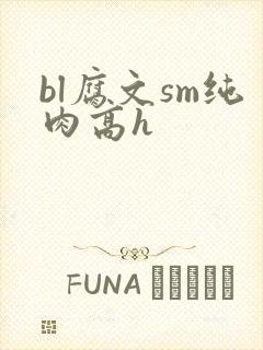 bl腐文sm纯肉高h