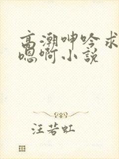 高潮呻吟求饶h嗯啊小说