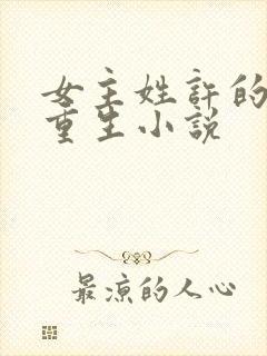 女主姓许的古代重生小说