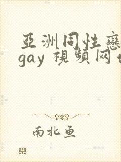 亚洲同性恋男 gay 视频网站封面